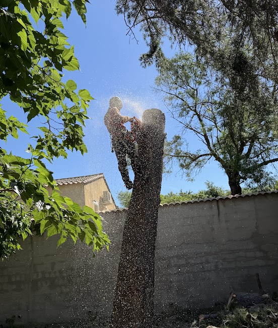 Arboriste en hauteur en train de sectionner le tronc d'un arbre à l'ardoise
