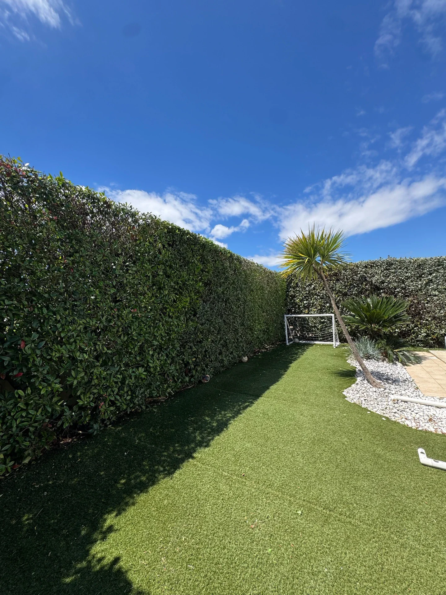 Haie taillée de jardin avec pelouse, palmier et but de foot sous ciel bleu
